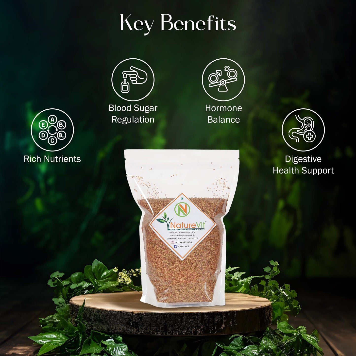 NatureVit Alfalfa Seeds for Sprouting | Non-GMO | Nutrient-Rich Microgreens