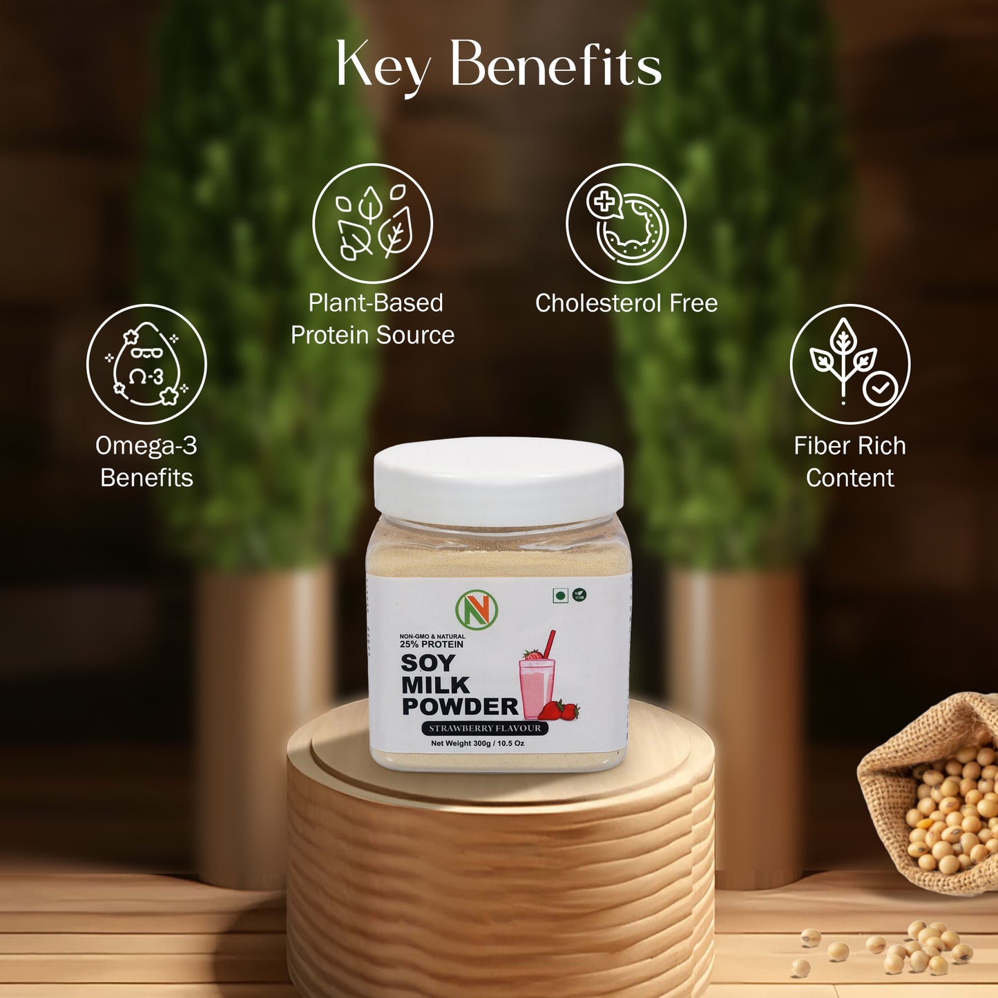 NatureVit Soya Milk Powder ā Strawberry Flavour | Vegan & Non-GMO