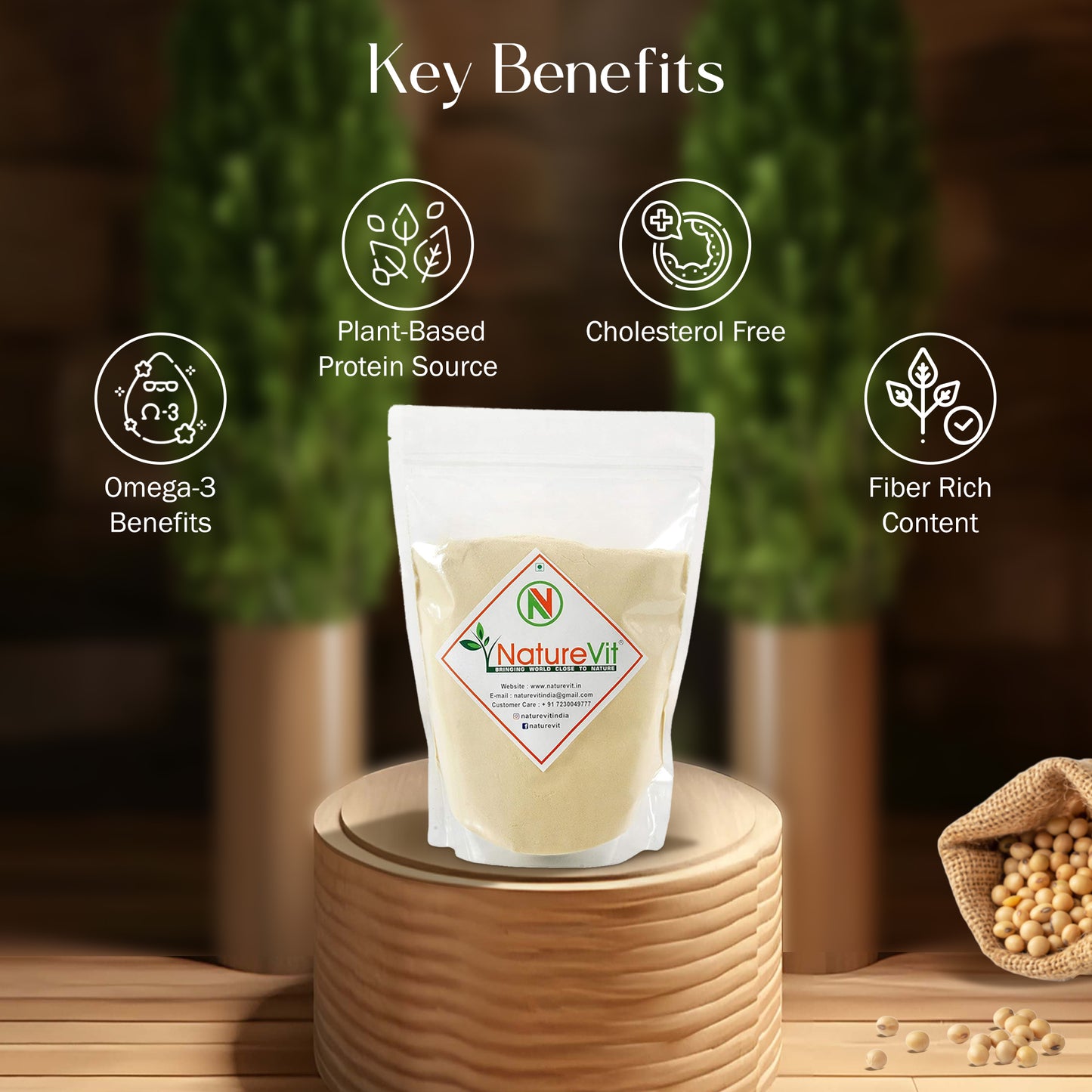 NatureVit Soya Milk Powder ā Strawberry Flavour | Vegan & Non-GMO