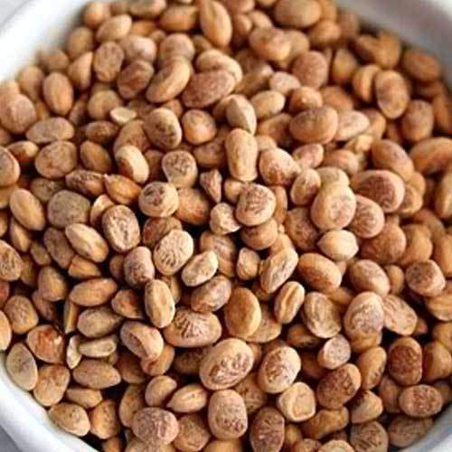 NatureVit Almondette Seeds (Chironji/Charoli) | Premium Quality | Rich in Protein & Healthy Fats