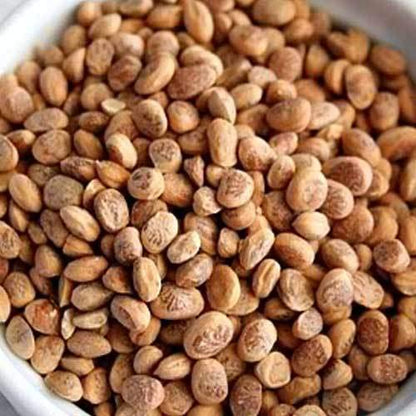 NatureVit Almondette Seeds (Chironji/Charoli) | Premium Quality | Rich in Protein & Healthy Fats
