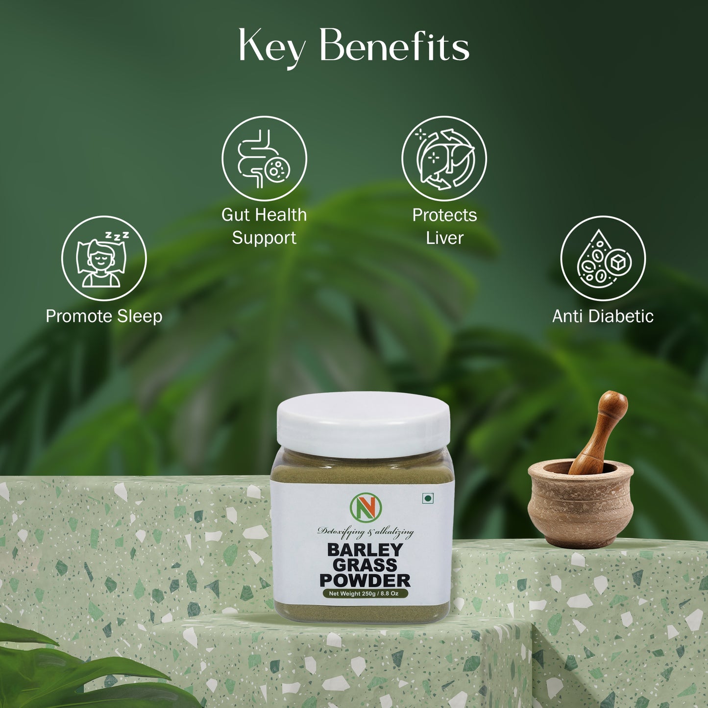 NatureVit Barley Grass Powder