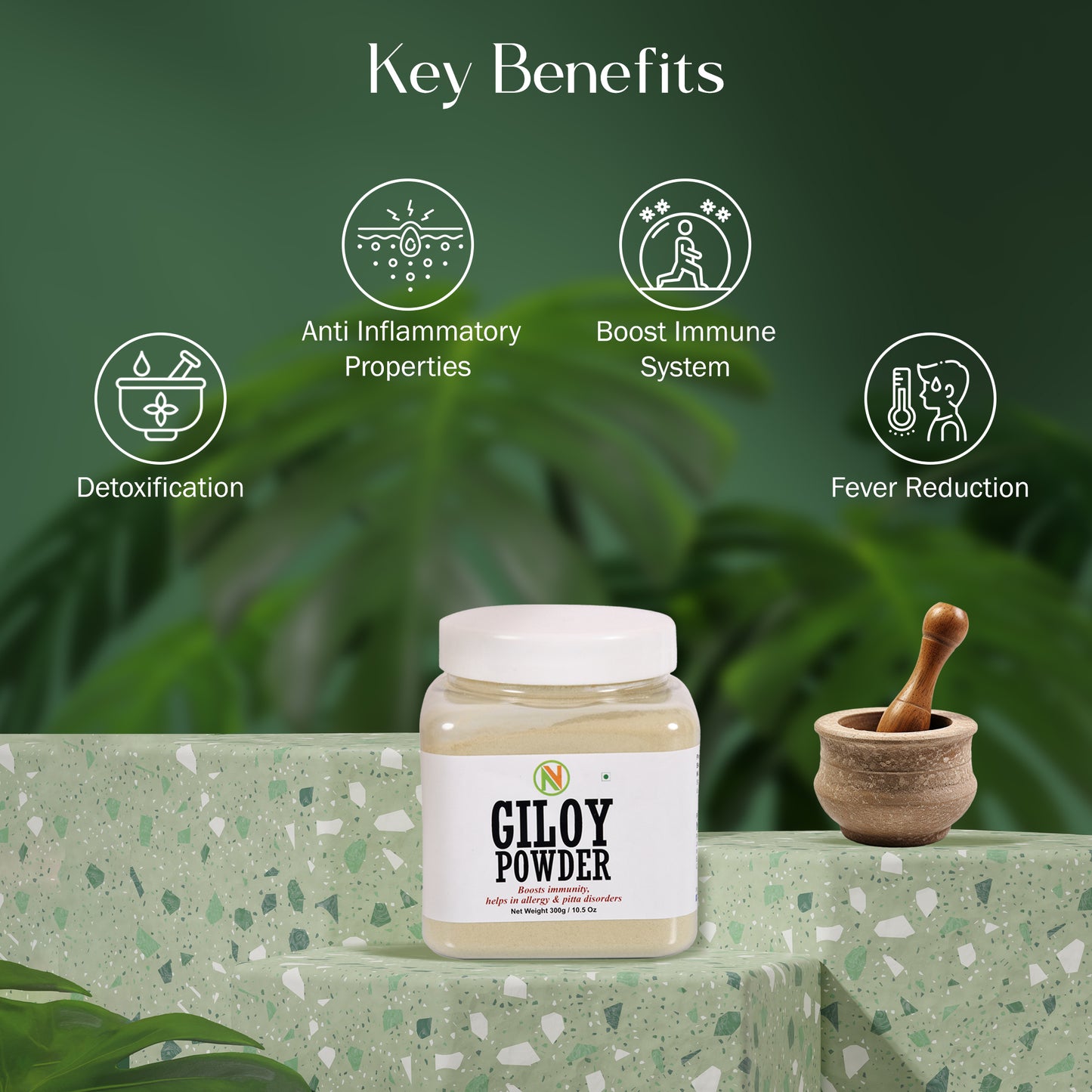 NatureVit Giloy Powder [Immunity Booster]