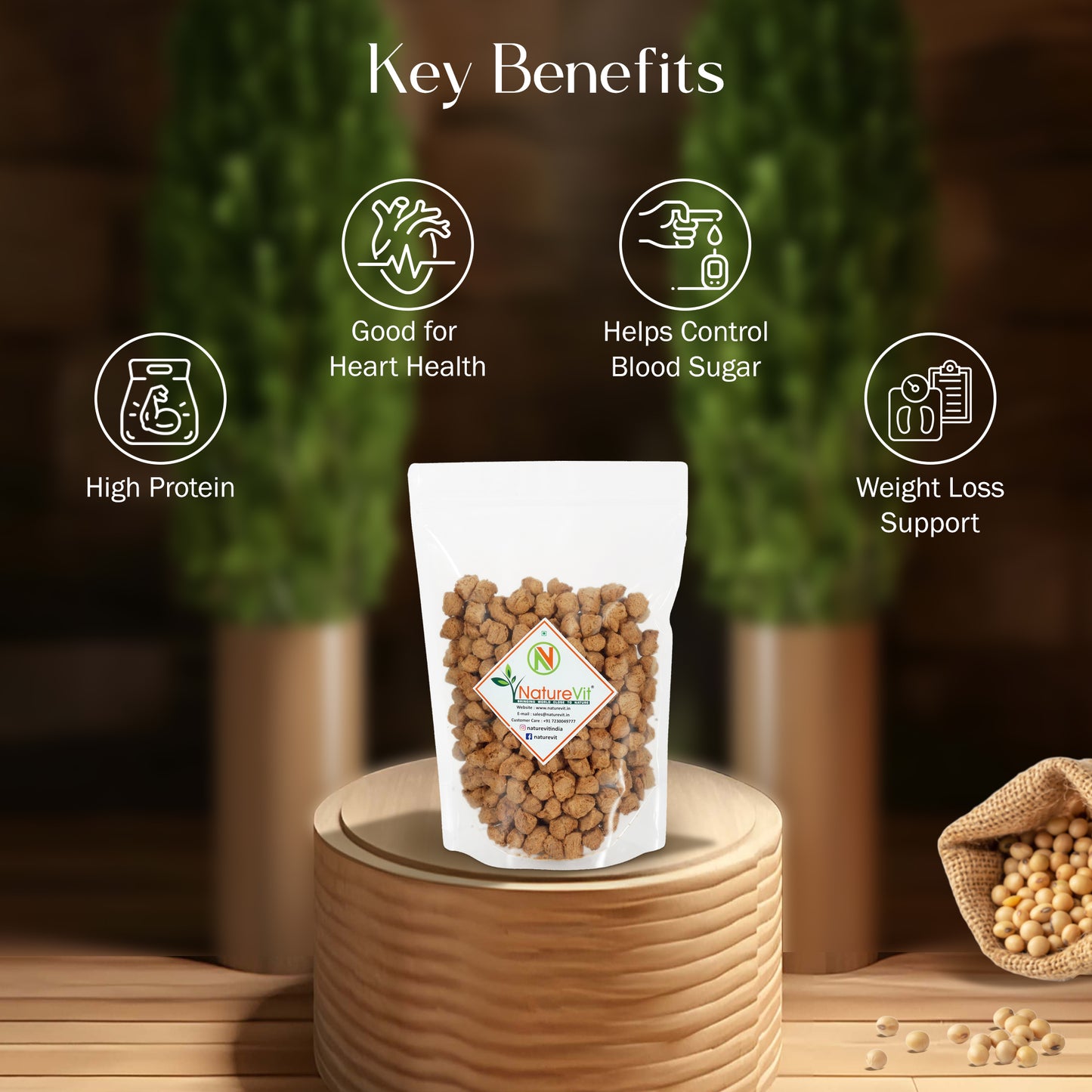 NatureVit Soya Chunks (Soyabean Wadi)